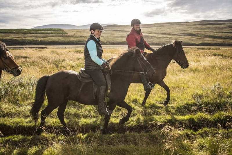 Varmahlid: Viking Horse Riding Tour - Along the Svartá river and hillside track