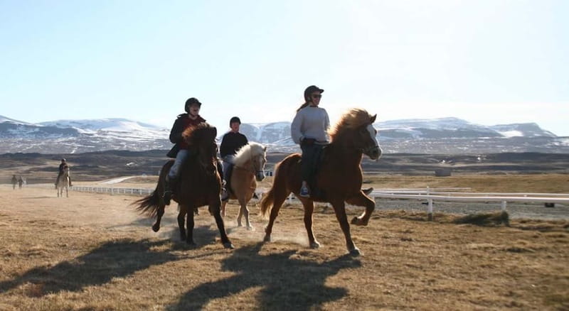 Varmahlid: Viking Horse Riding Tour - Weather, clothing, and practical comfort