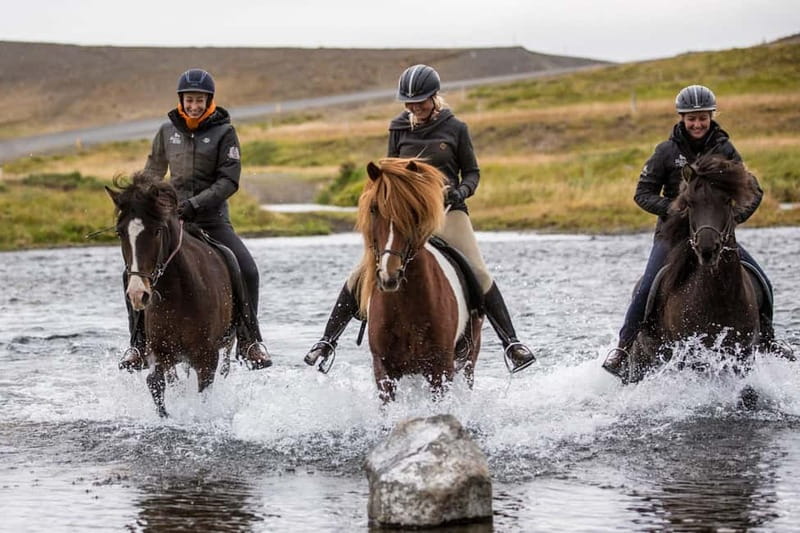 Varmahlid: Viking Horse Riding Tour - Meeting at Hestasport in Varmahlíð