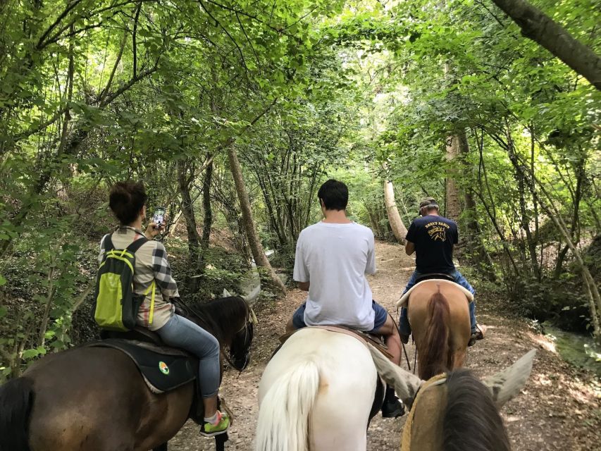 Verona: Horseback Riding and Wine Tasting Experience - Key points to know before booking