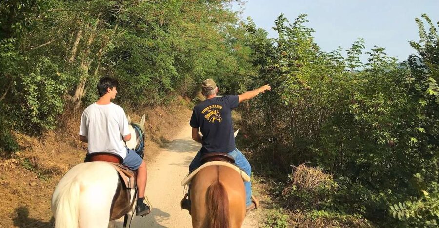 Verona: Horseback Riding and Wine Tasting Experience - Riding from the vineyards toward the Custoza hills