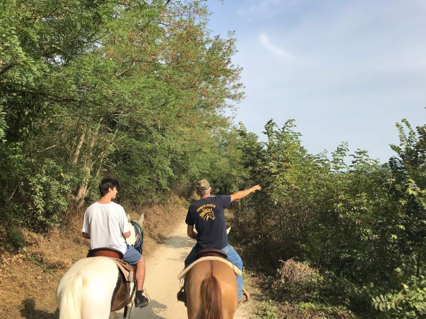 Verona: Horseback Riding and Wine Tasting Experience - A family winery, old barrels, and a broad tasting