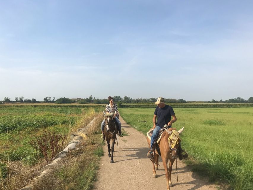 Verona: Horseback Riding and Wine Tasting Experience - Finishing with horse care instead of a quick goodbye