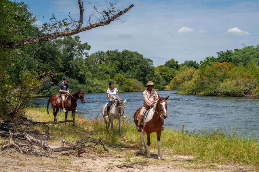 Victoria Falls National Park: Horseback Safari - Key points to know before you book