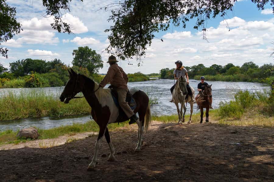 Victoria Falls National Park: Horseback Safari - Riding into the bushveld near Victoria Falls