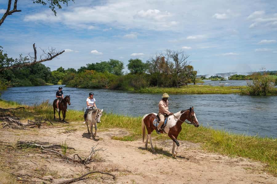 Victoria Falls National Park: Horseback Safari - Tracking elephant, buffalo, and rhinoceros