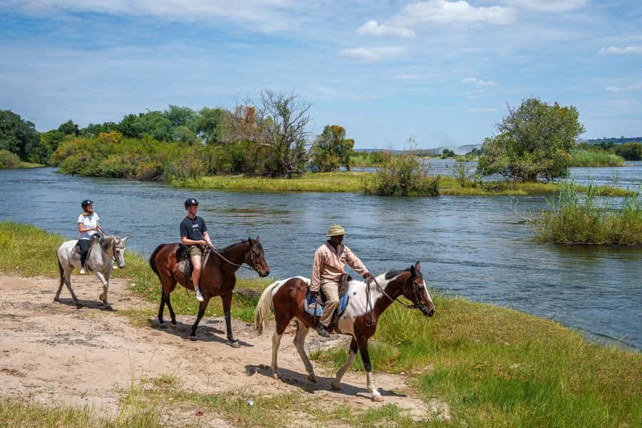 Victoria Falls National Park: Horseback Safari - The horses, pace, and level of effort