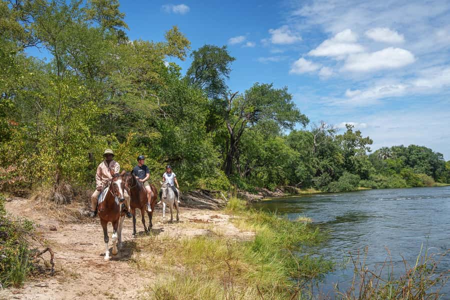 Victoria Falls National Park: Horseback Safari - Lunch at the stables