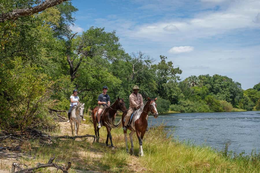Victoria Falls National Park: Horseback Safari - Who should book this ride?