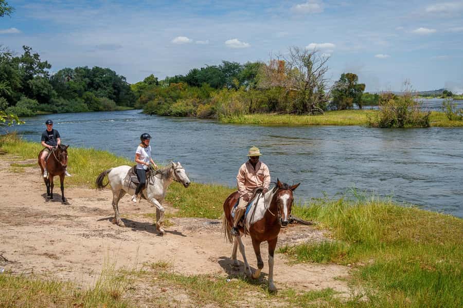 Victoria Falls National Park: Horseback Safari - What the four-hour outing feels like