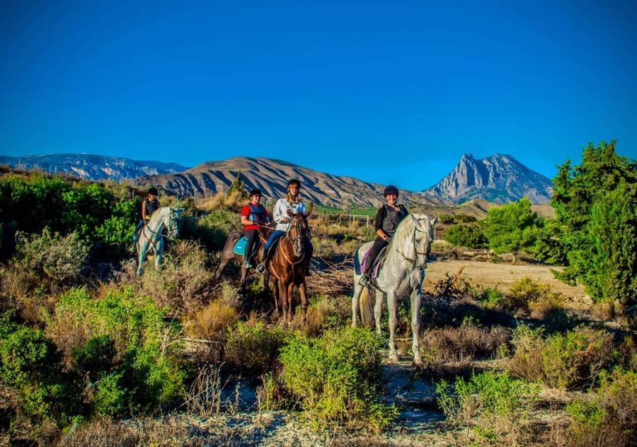 Villajoyosa Horseback Riding in the Mountains with sea views - A mountain ride only minutes from Benidorm