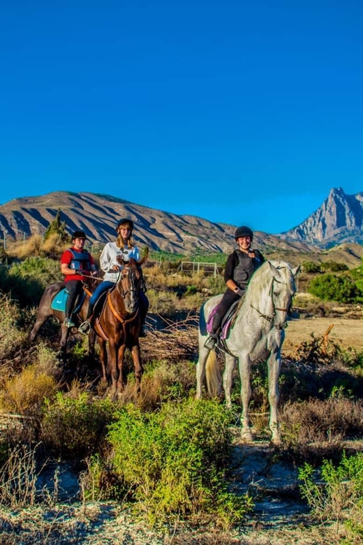 Villajoyosa Horseback Riding in the Mountains with sea views - The views: orchards, hills, and the Mediterranean
