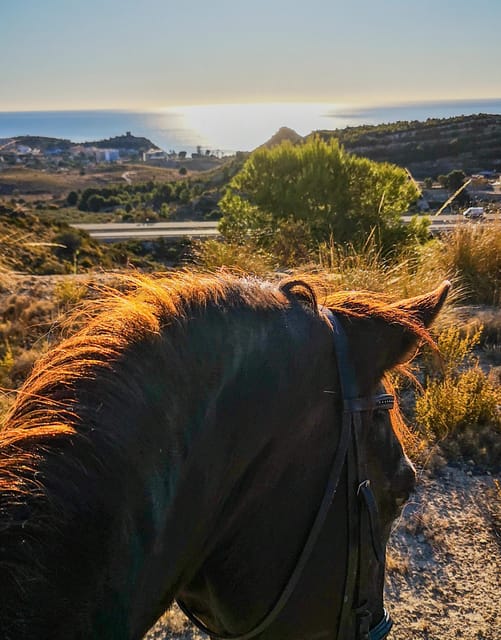 Villajoyosa Horseback Riding in the Mountains with sea views - Safety, group size, and comfort