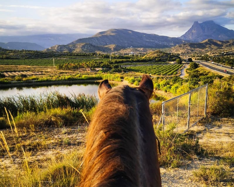 Villajoyosa Horseback Riding in the Mountains with sea views - Meeting your horse and guide
