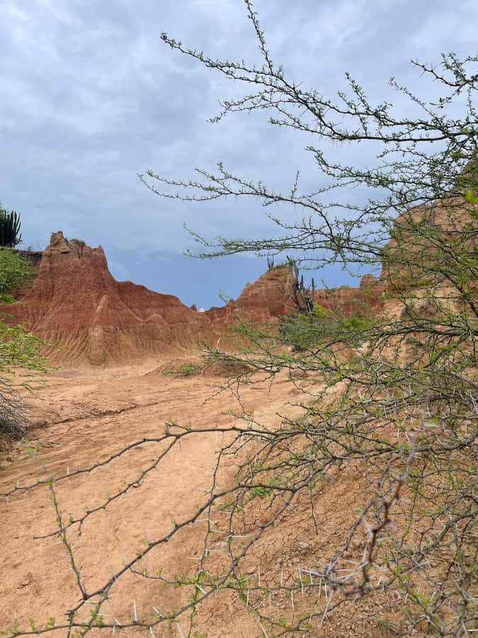 Villavieja: Tatacoa Desert Horseback Riding Tour - FAQ