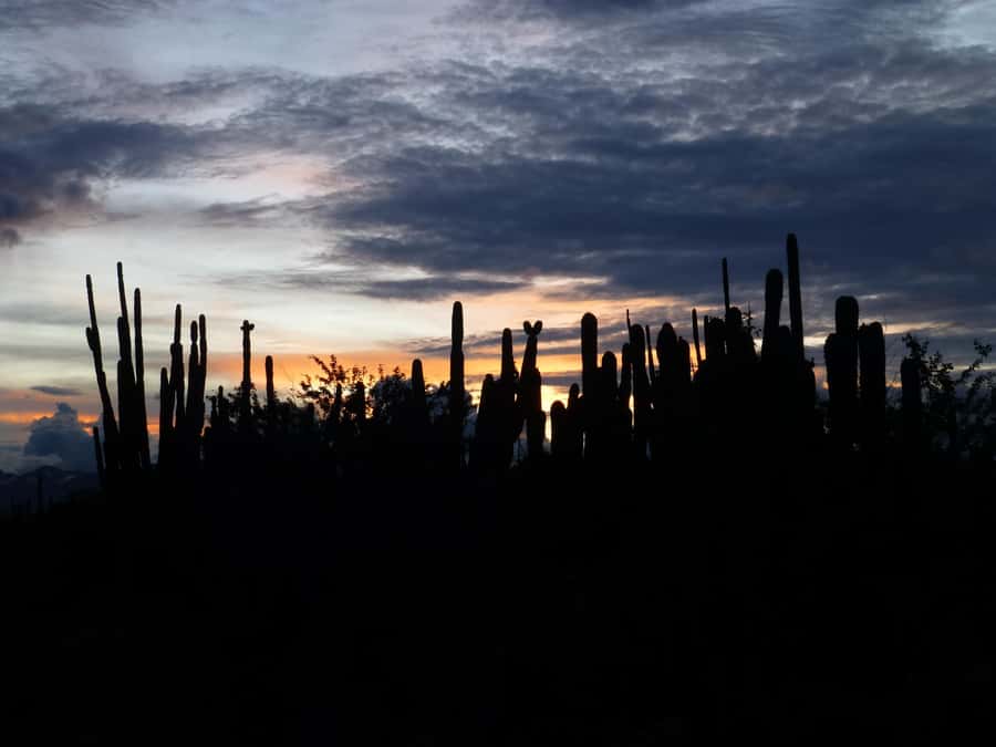Villavieja: Tatacoa Desert Horseback Riding Tour - Two hours among Tatacoa’s red and gray terrain