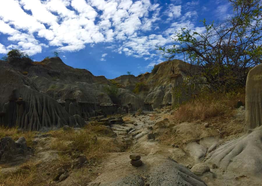 Villavieja: Tatacoa Desert Horseback Riding Tour - What the private format changes