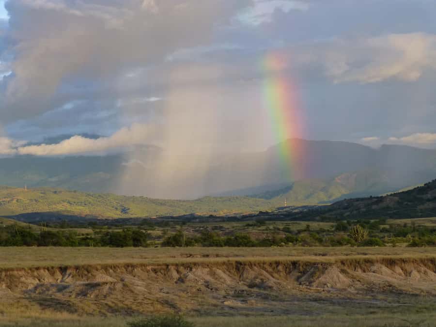 Villavieja: Tatacoa Desert Horseback Riding Tour - Is $86 a fair price?