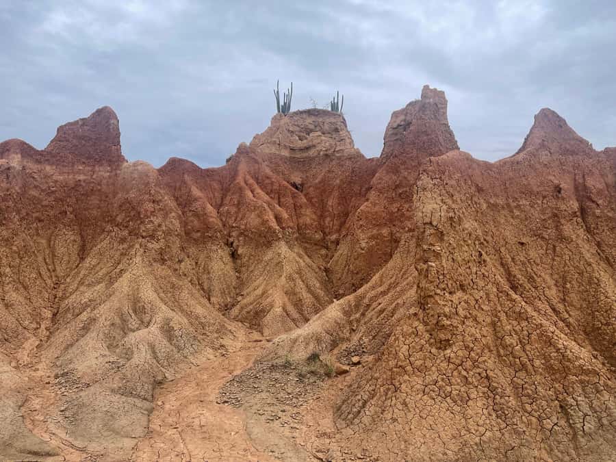 Villavieja: Tatacoa Desert Horseback Riding Tour - Guide language, timing, and comfort