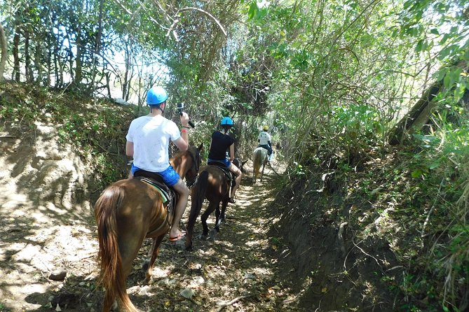 VIP DayPass: ATV, ZipLine, Horse Riding / Shore Excursion & Hotel - How physical is the day?