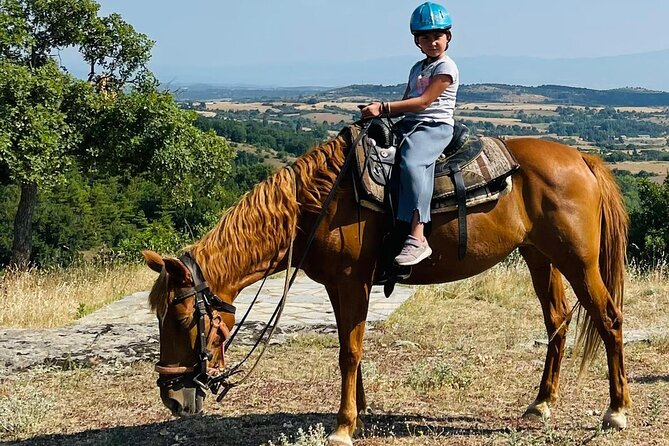 Visit a Farm and Horseback Riding in Nature - From Porto Palace Hotel to the Horse Farm