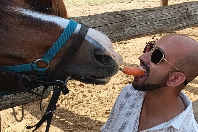 Visit a Farm and Horseback Riding in Nature - Is This Horseback Ride Worth Booking?