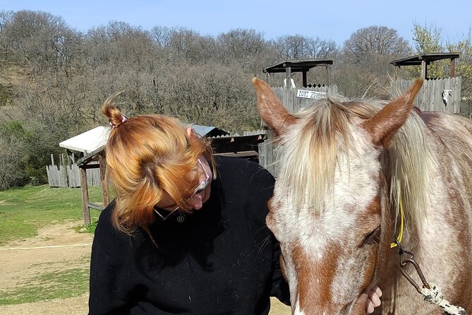 Visit a Farm and Horseback Riding in Nature - Time With the Animals After the Ride