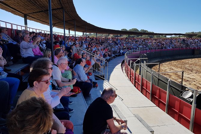 Visit Alvaro Domecq Horses and Brave Bulls in Freedom - The 10:30 a.m. Arrival and Grandstand View