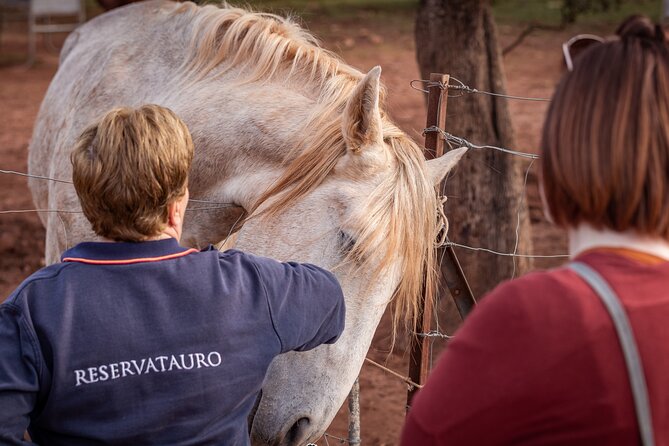 Visita Entre Toros y Caballos - What Reservatauro Ronda is really about