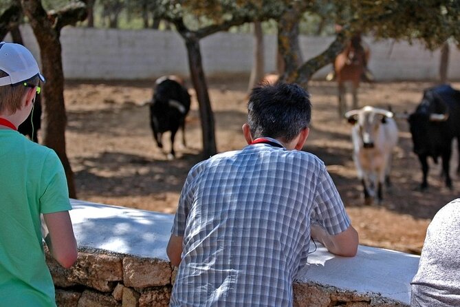 Visita Entre Toros y Caballos - Who will enjoy this experience most