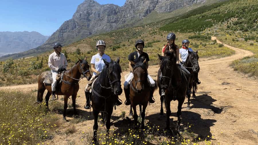 Vrede en Lust Wine Estate:1-Hour Horseback Riding Experience - Riding through Vrede en Lust at a gentle pace