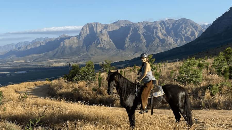 Vrede en Lust Wine Estate:1-Hour Horseback Riding Experience - The one-hour trail: vineyards, foothills, and valley views