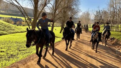 Vrede en Lust Wine Estate:1-Hour Horseback Riding Experience