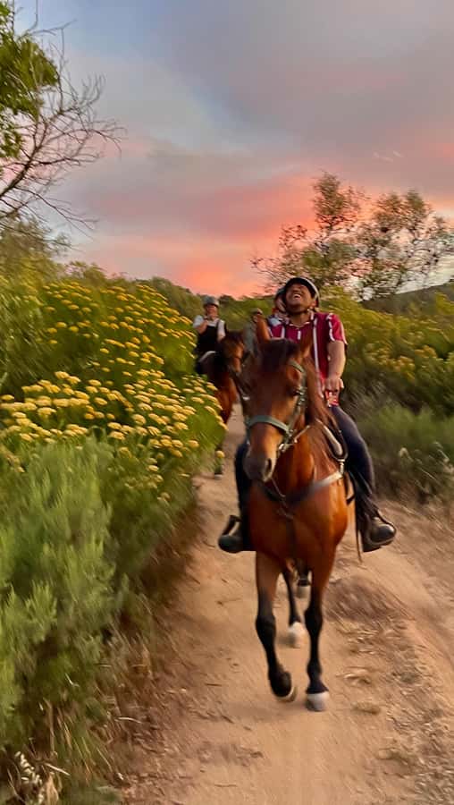 Vrede en Lust Wine Estate:1-Hour Horseback Riding Experience - How the safety arrangements affect the experience