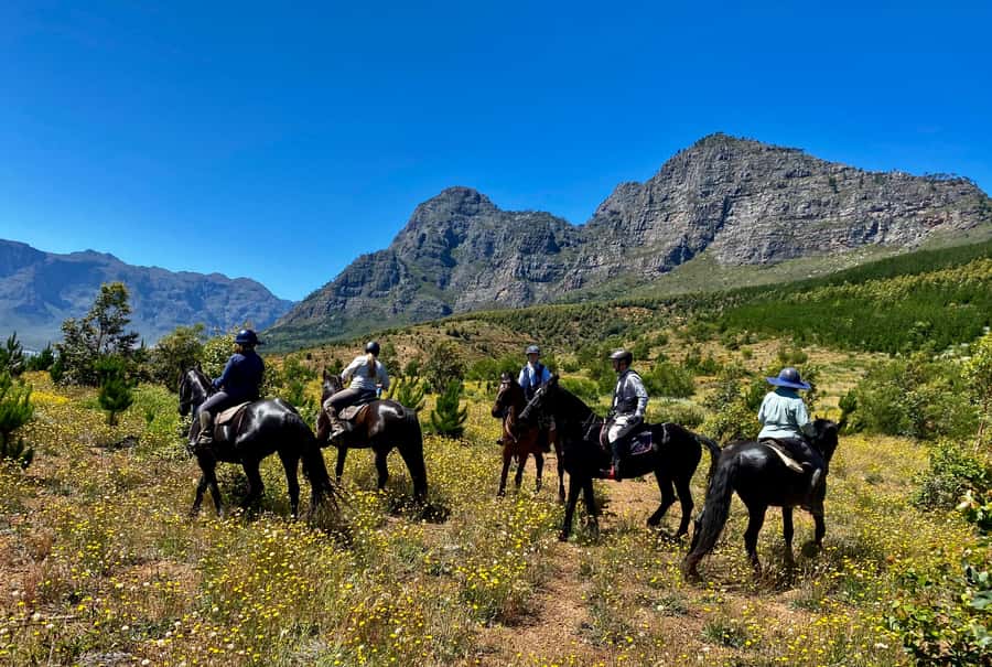Vrede en Lust Wine Estate:1-Hour Horseback Riding Experience - Why the $75 price can make sense