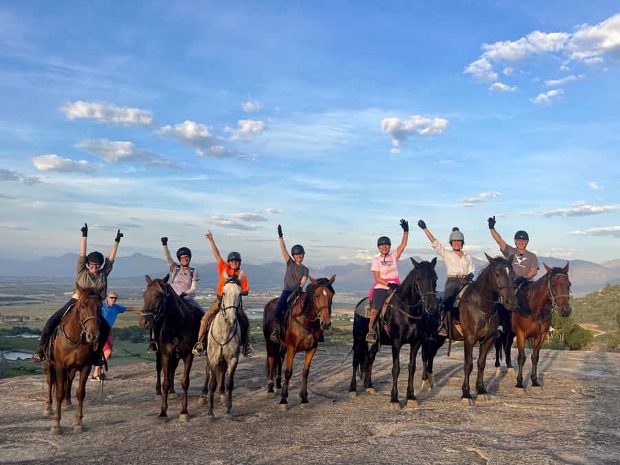 Vrede en Lust Wine Estate:1-Hour Horseback Riding Experience - Timing your arrival around roadworks