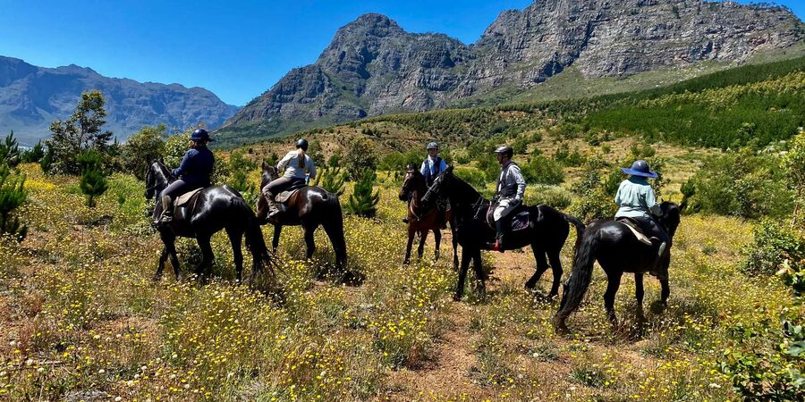 Vrede en Lust Wine Estate:1-Hour Horseback Riding Experience - Who will enjoy this ride most