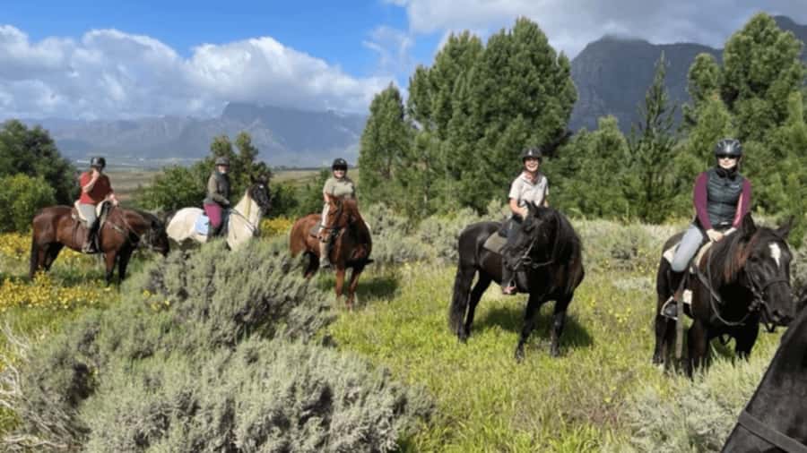 Vrede en Lust Wine Estate: 1h30m Horse Trail Ride - Key points at a glance