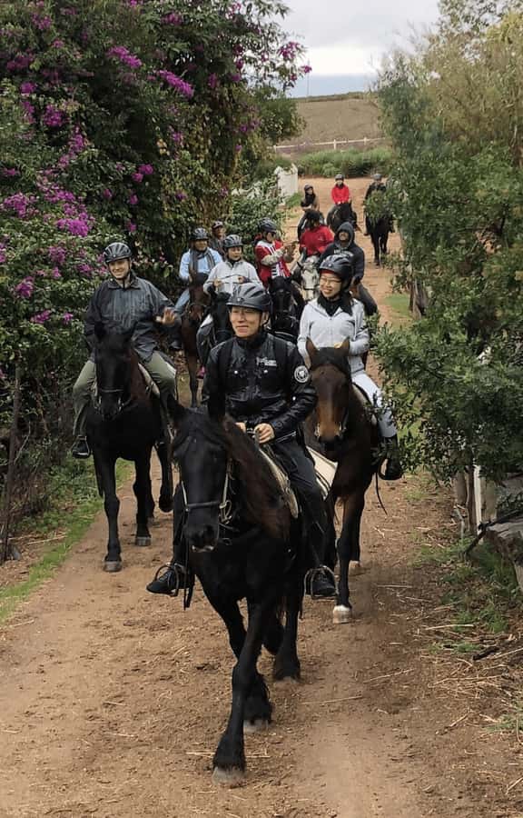 Vrede en Lust Wine Estate: 1h30m Horse Trail Ride - Riding into the Franschhoek wine valley