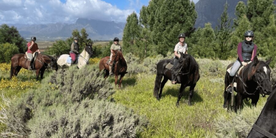 Vrede en Lust Wine Estate: 1h30m Horse Trail Ride - Along the river with time to look up