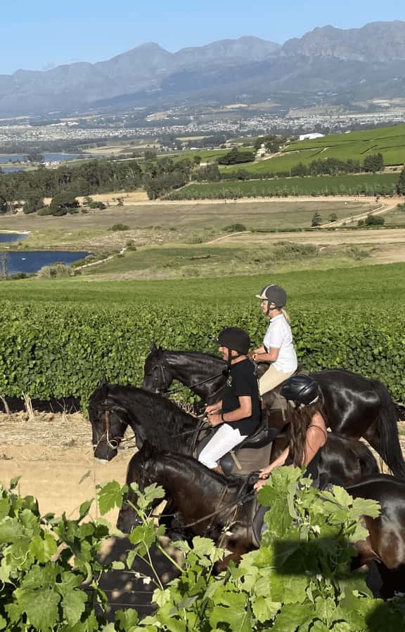 Vrede en Lust Wine Estate: 2H Horse Trail - Key points to know before you book