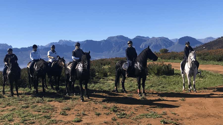 Vrede en Lust Wine Estate: 2H Horse Trail - Riding through Vrede en Lust’s wine country