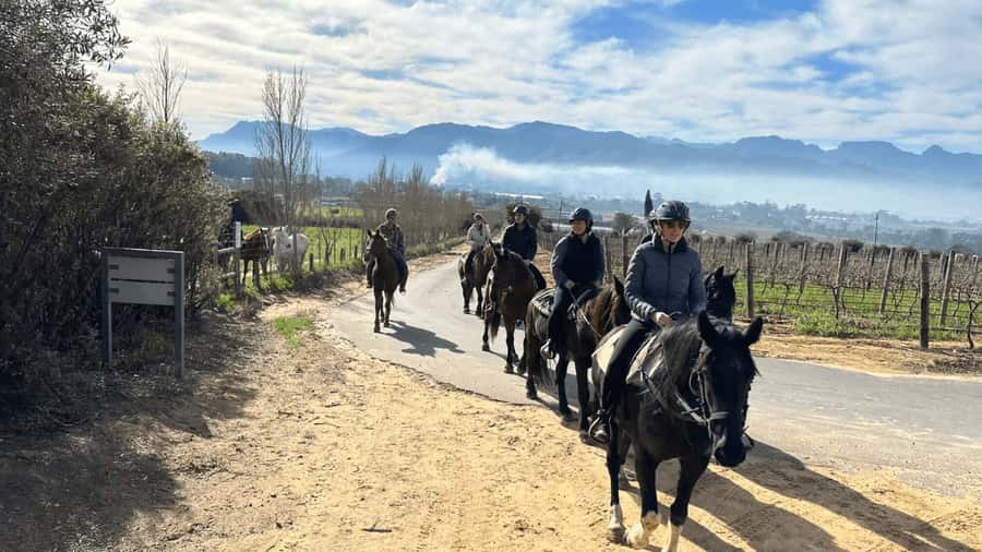 Vrede en Lust Wine Estate: 2H Horse Trail - The first stretch across the farm and vineyards