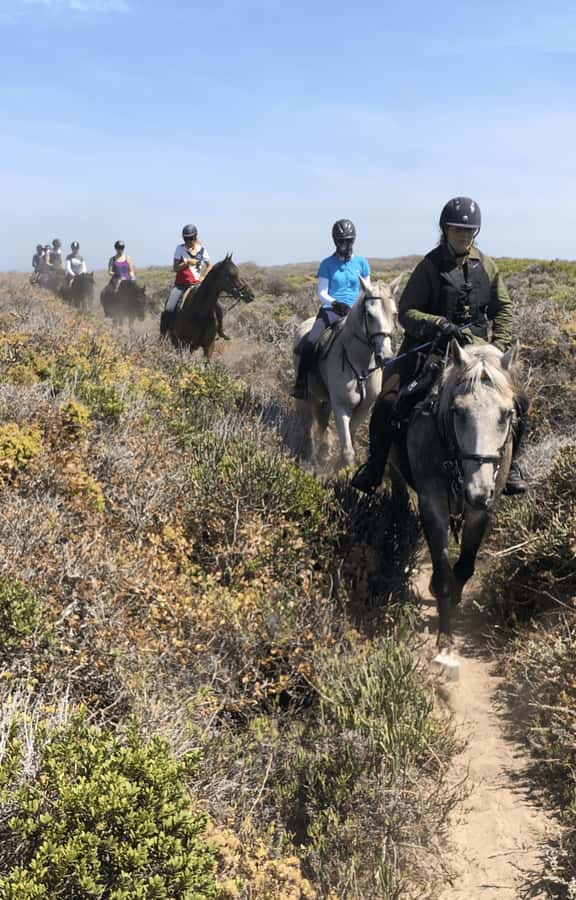 Vrede en Lust Wine Estate: 2H Horse Trail - What your companions can do afterward