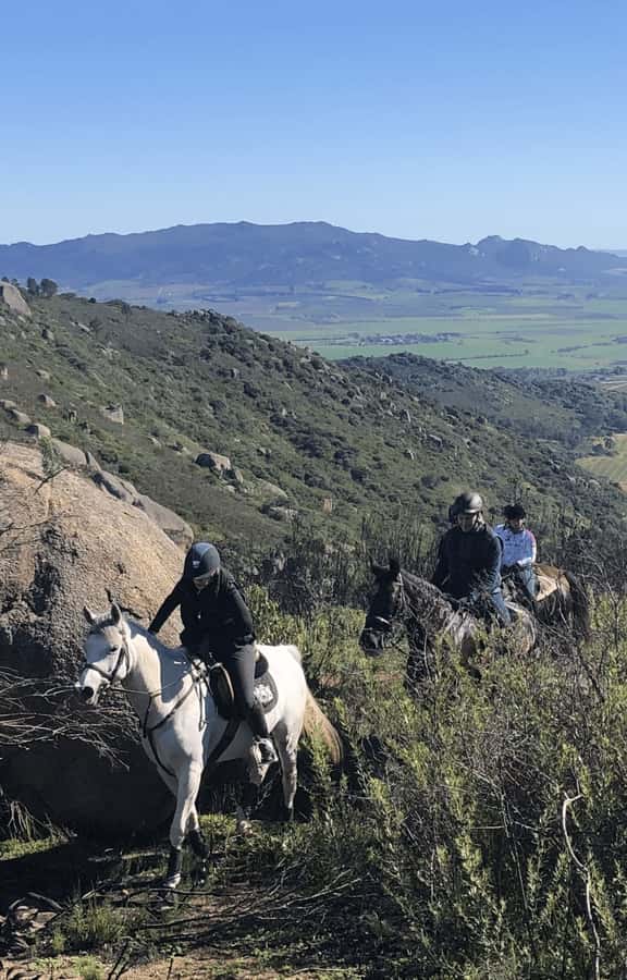Vrede en Lust Wine Estate: 2H Horse Trail - Is $180 a fair price?
