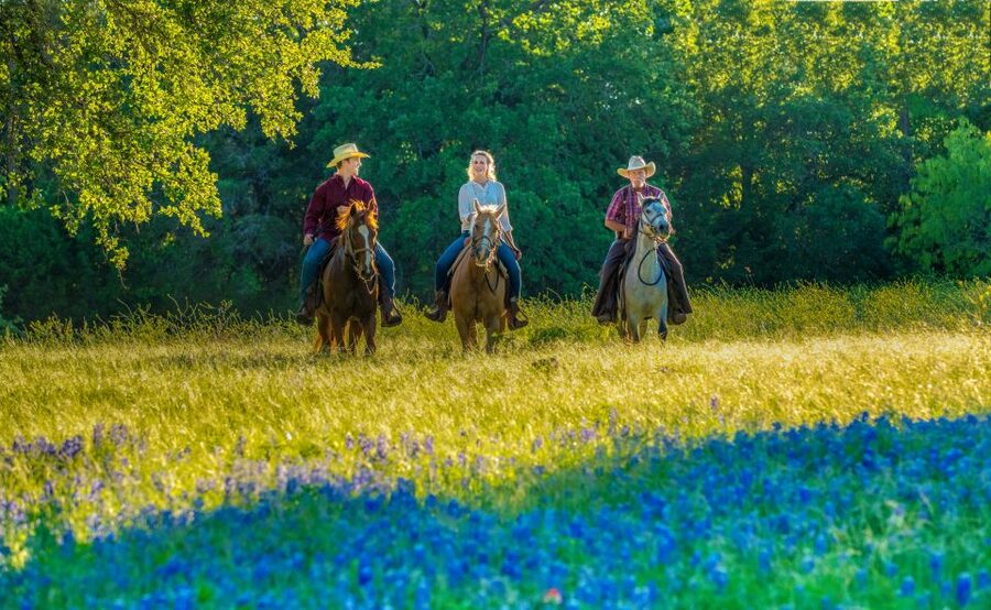 Waco: Horseback Riding Tour with Cowboy Guide - Riding through fields and forest paths