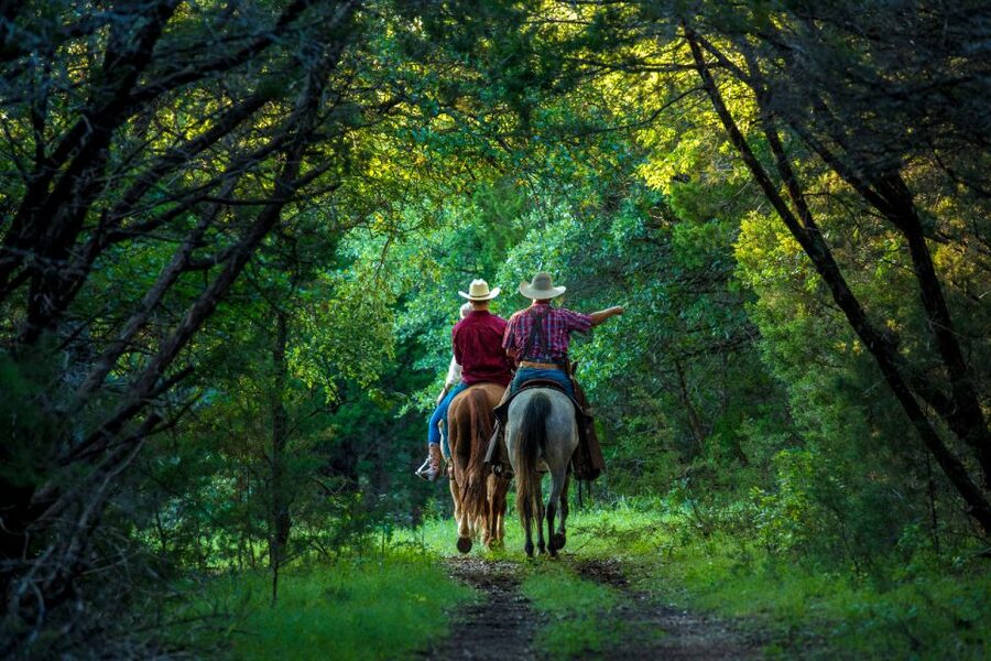 Waco: Sunset Horseback Ride - Meeting Your Horse and Learning the Basics