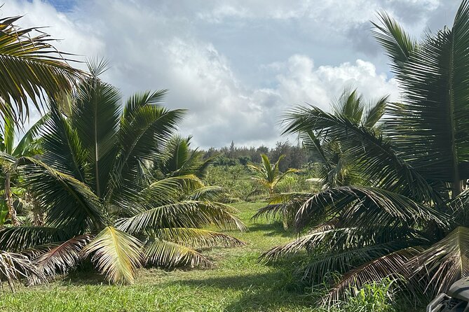 Waipi’o on Horseback: Mountain Ocean Views Working Cattle Ranch - Morning, afternoon, or sunset timing