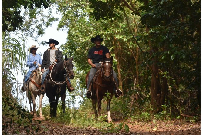 West Maui Mountain Waterfall and Ocean Tour via Horseback - From mountain gulches to the Pacific coast