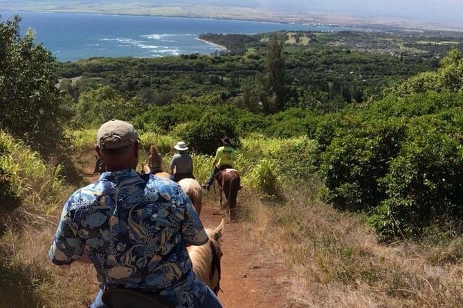 West Maui Mountain Waterfall and Ocean Tour via Horseback - Waterfalls, weather, and changing trail conditions